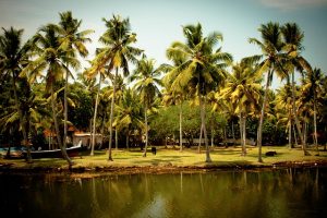 alleppey