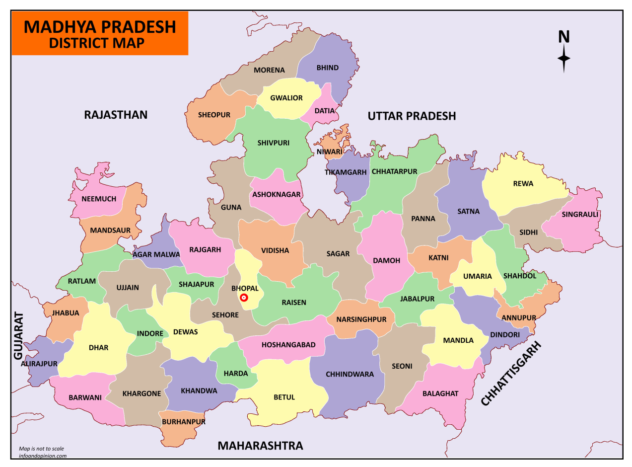 Madhya Pradesh District Map 