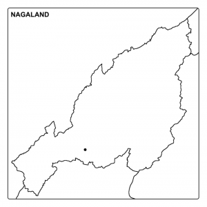 Download Nagaland Map